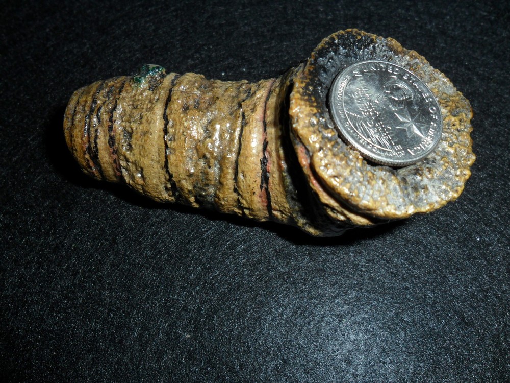 Fossilized Pipe