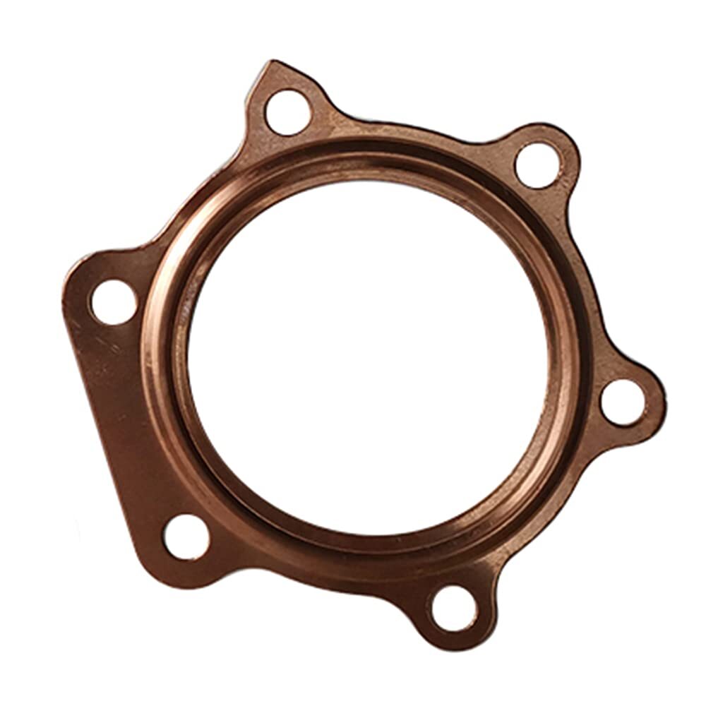 Engine Head Gasket Kit & Oil Seals for Yamaha Blaster 200 YFS200 1988-2006