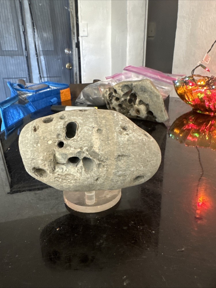 Rocks for Tumbling Lapidary Material Rough