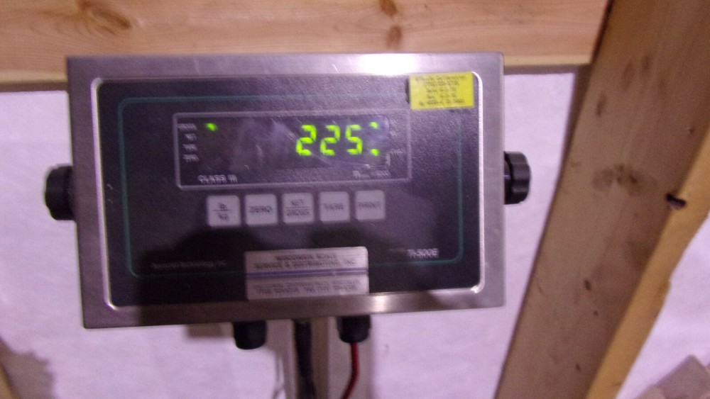 INTERNATIONAL 14 LEAF SPRING 473276C91 12/2