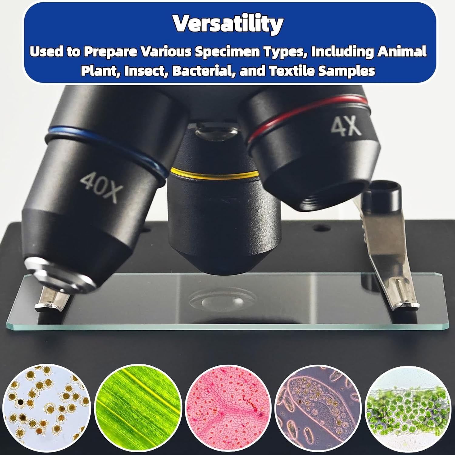 Blank Glass Microscope Slides and Covers - Ground Edges & 45° Clipped Corners, H