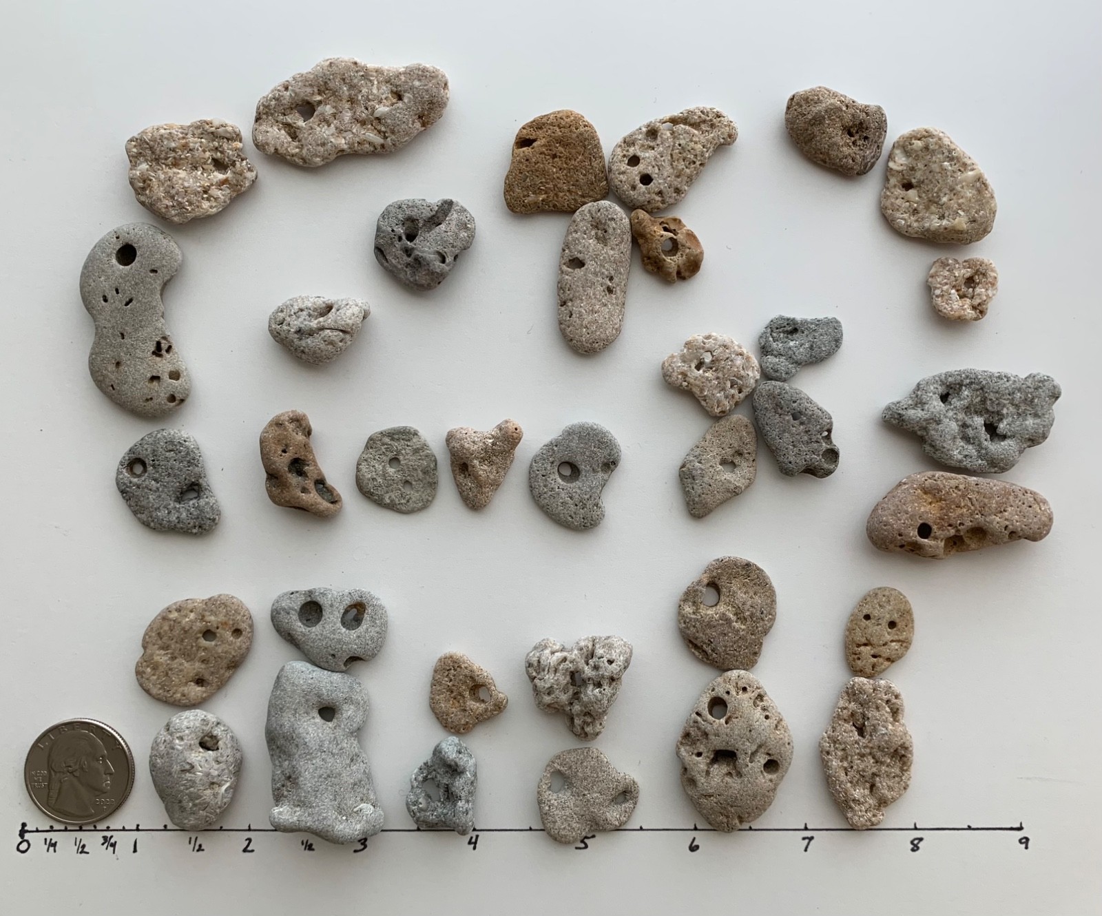 35 Adder Holey Beach Rocks Hag Stones Fairy Lucky Wish Magic Natural 1" #B1 US❤️