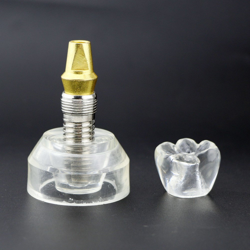 Dental Implant Model Demonstration Teeth Study Teach Models Detachable 2020
