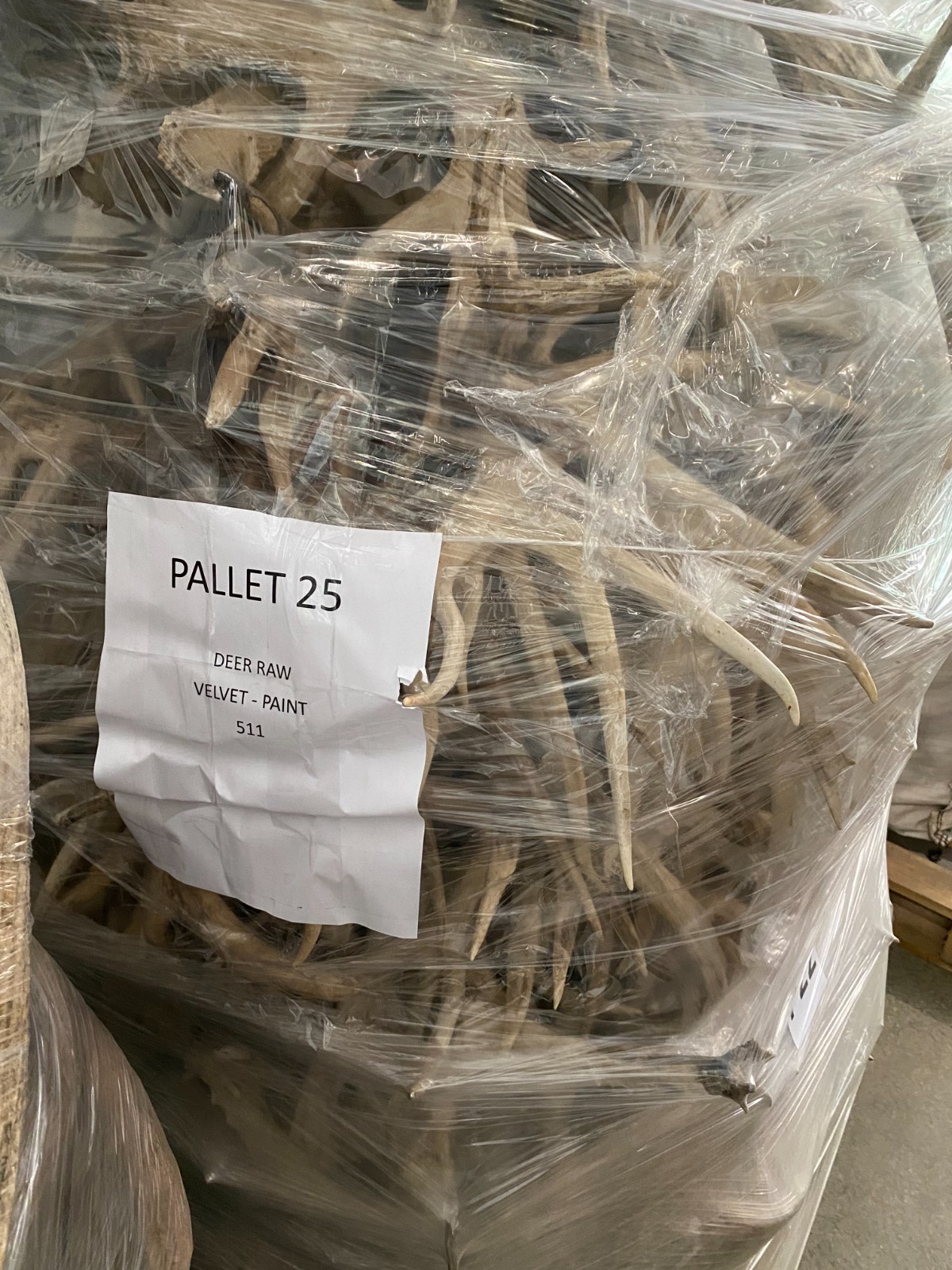 Bulk Deer Antlers Whole Racks – Grade B/C - For Crafts or Dogs