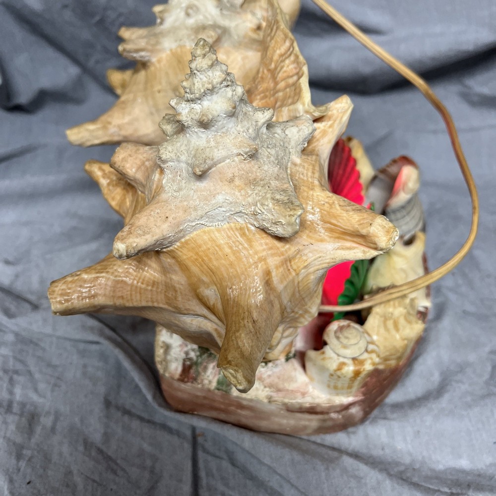 Handmade Sea Shell Display With Light