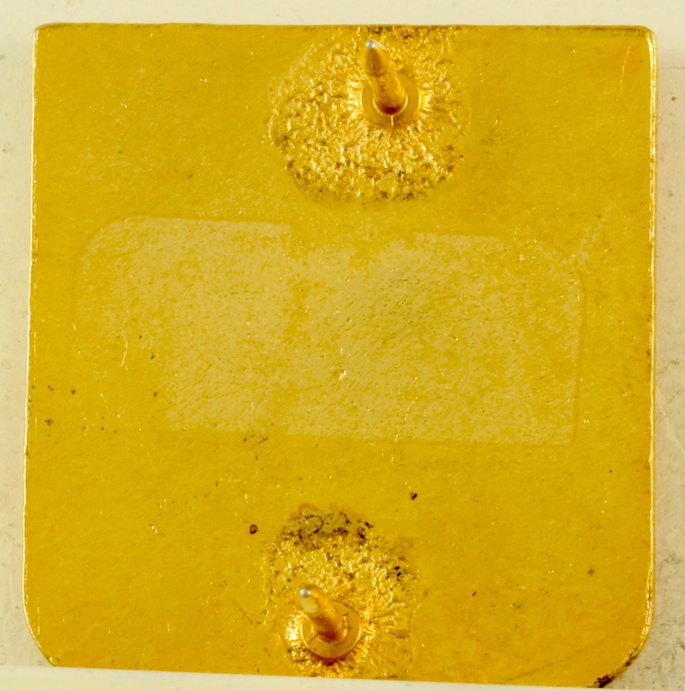 389th Infantry Regiment Crest DI/DUI CB