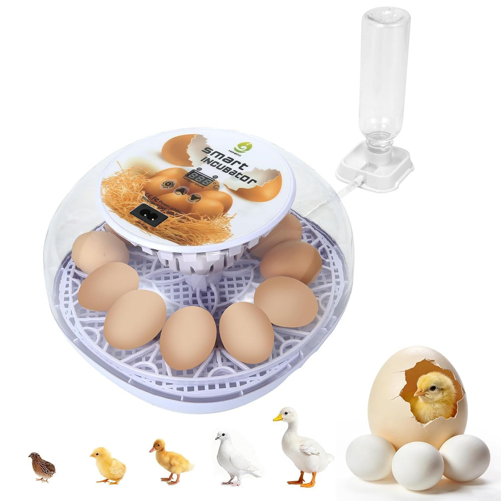 1St Gen - 12 Egg Automatic Incubator, Steady Humidity with Auto-Refill, Stable T