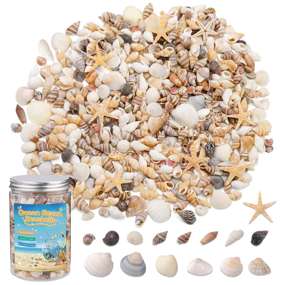 ZXIIXZ 1200 Pc Mixed Seashells Starfish Tiny Small Shells Craft Decor