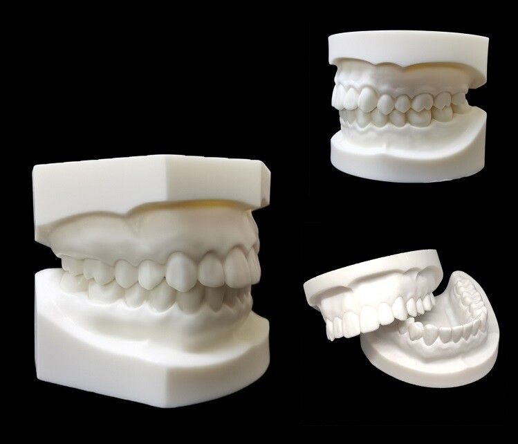 1pc Dental Caries Tooth Care Analysis Models Study Teaching Teeth Model 28/32T