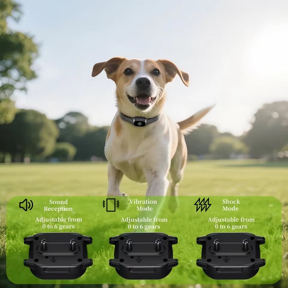 Ultrasonic Anti Bark Dog Caller Training Device