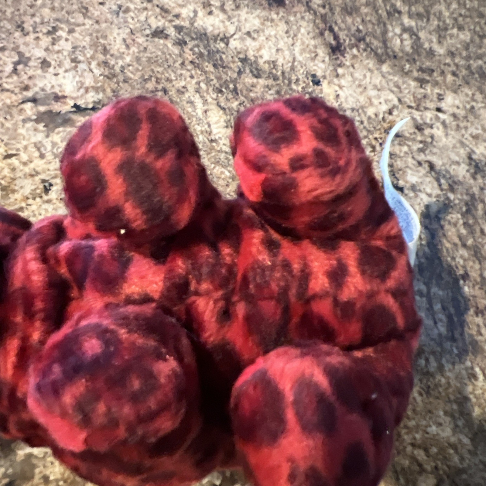 Vintage 1999 Renny the Rino Precious Moments Burgundy 6" Plush Tags