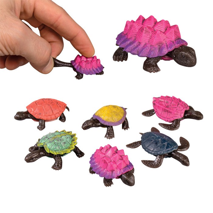Kids Toys 2" Stretch Turtles-Assorted 48/Box