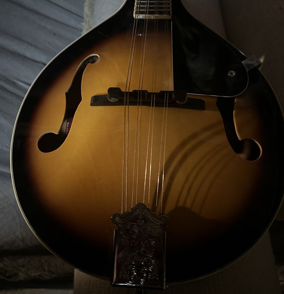 Rogue RM-100A  Mandolin