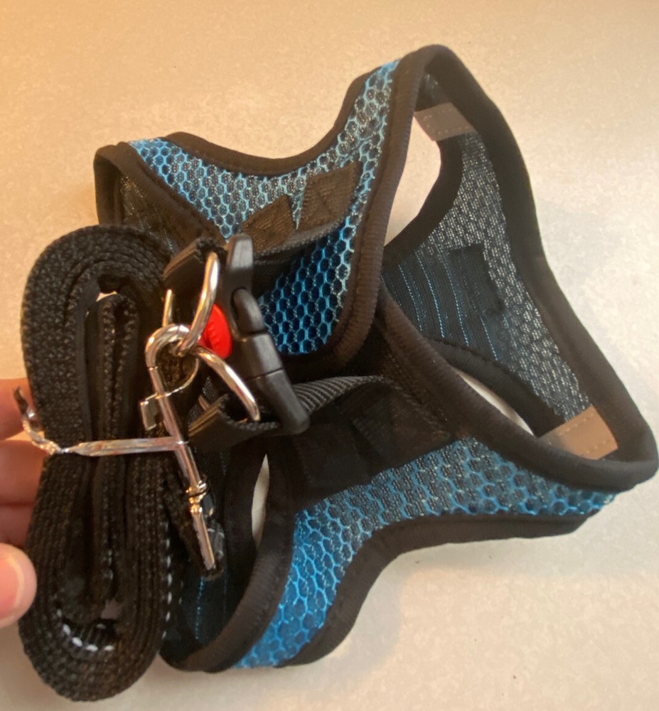 Mesh Blue/Blk Medium Harness And Black Nylon Leash