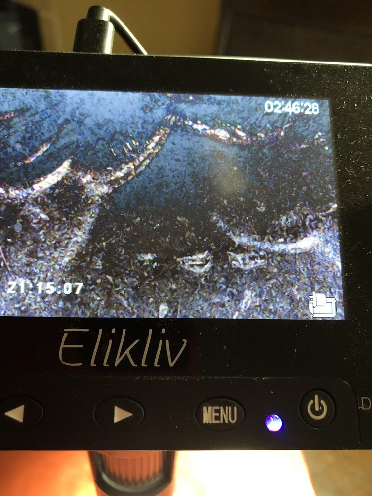 2018 D Washington Quarter Die Chip Error#15