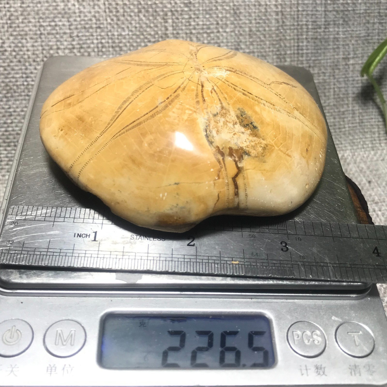 226g Starfish Crystal Specimen 01