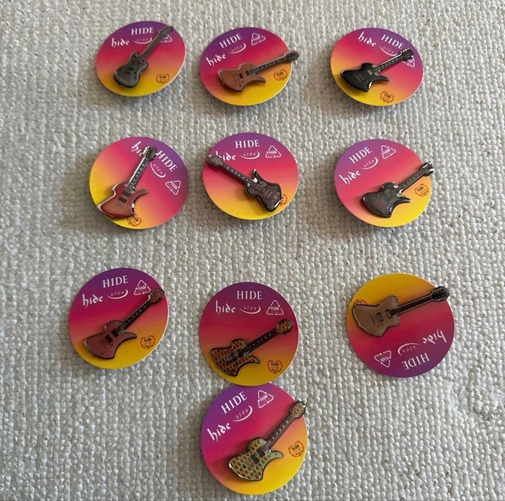 hide☆Pins capsule 10 piece set☆Complete
