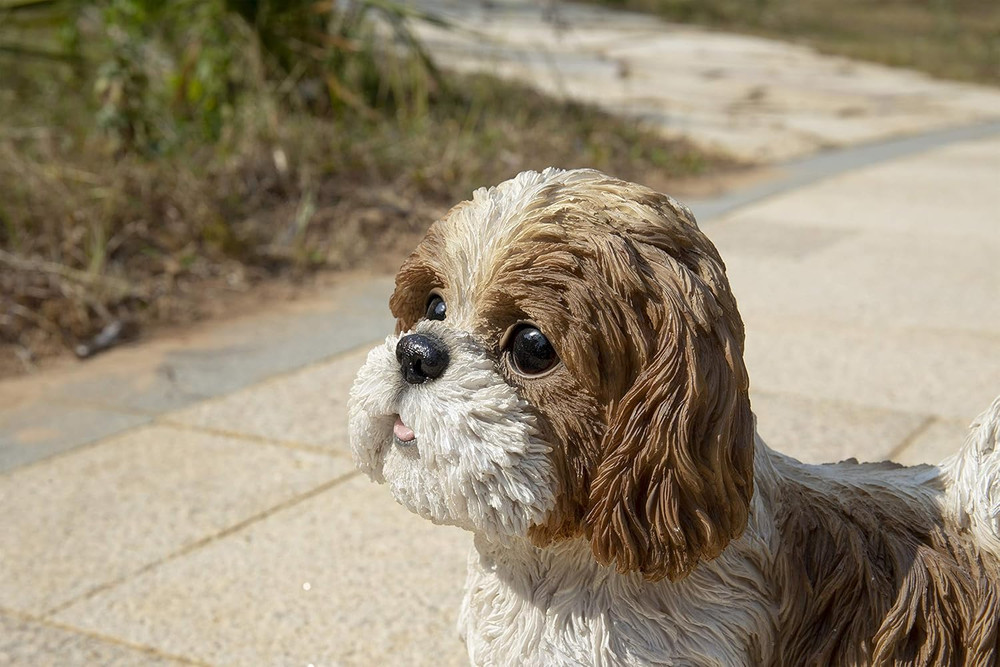 Gift Brown & White Standing Shih TZU