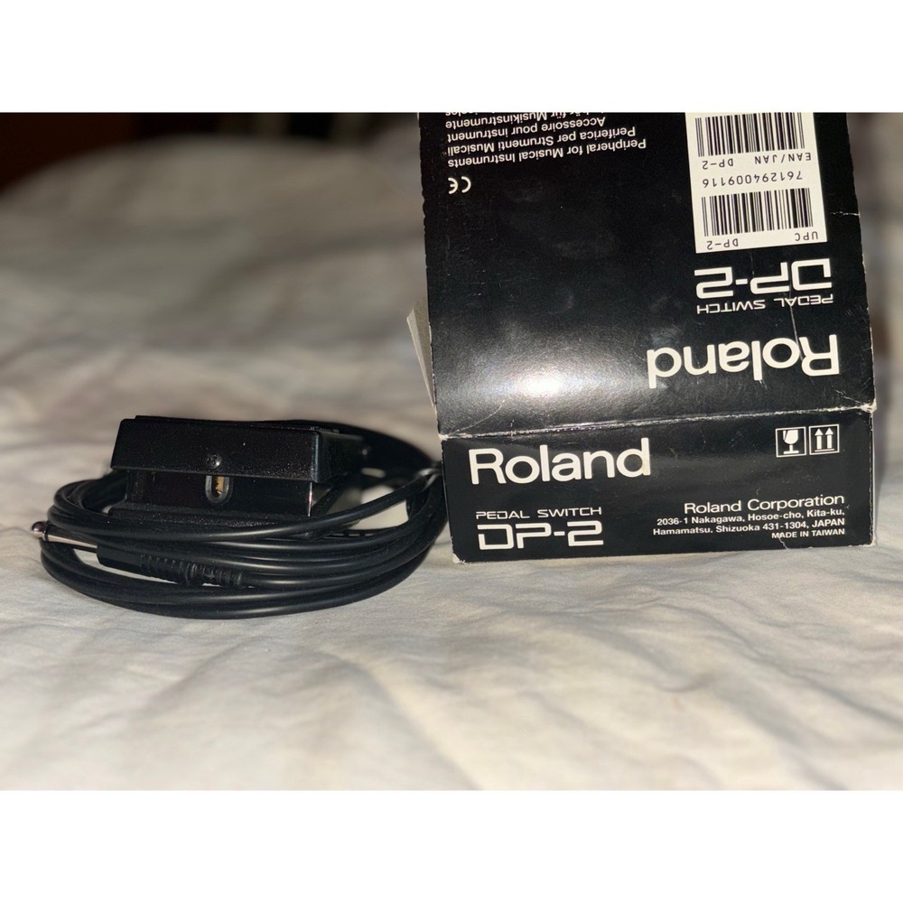 Roland DP-2 W/box