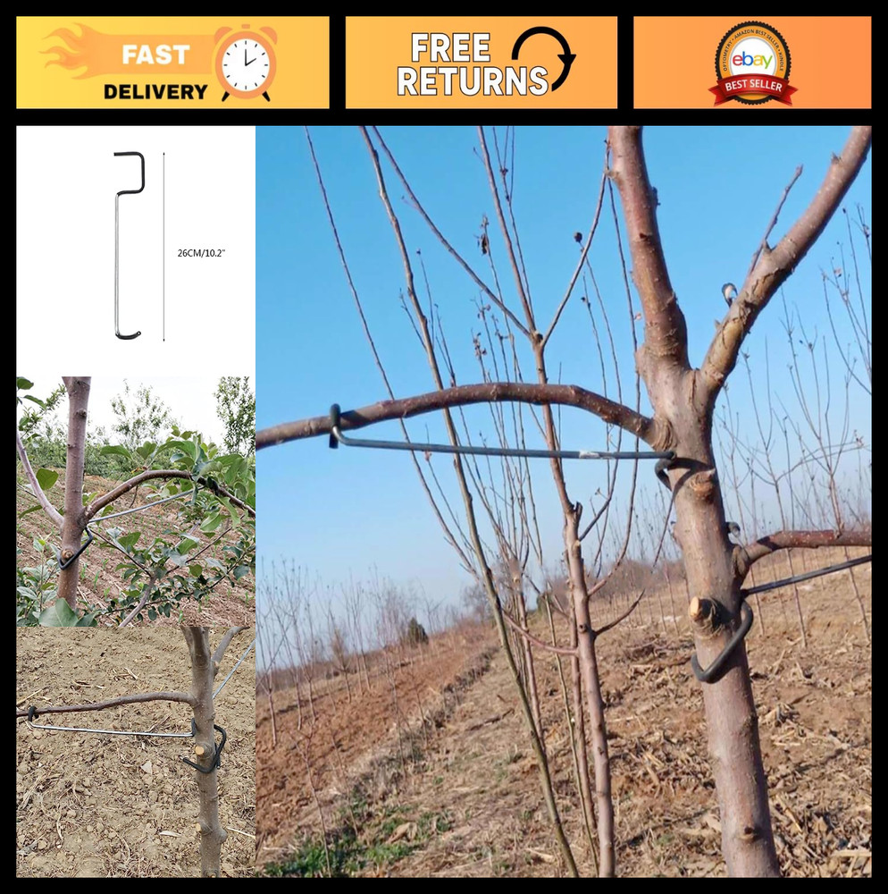 Fruit Tree Limb Spreaders - 5pcs Branch Support & Brace for Tree Growth