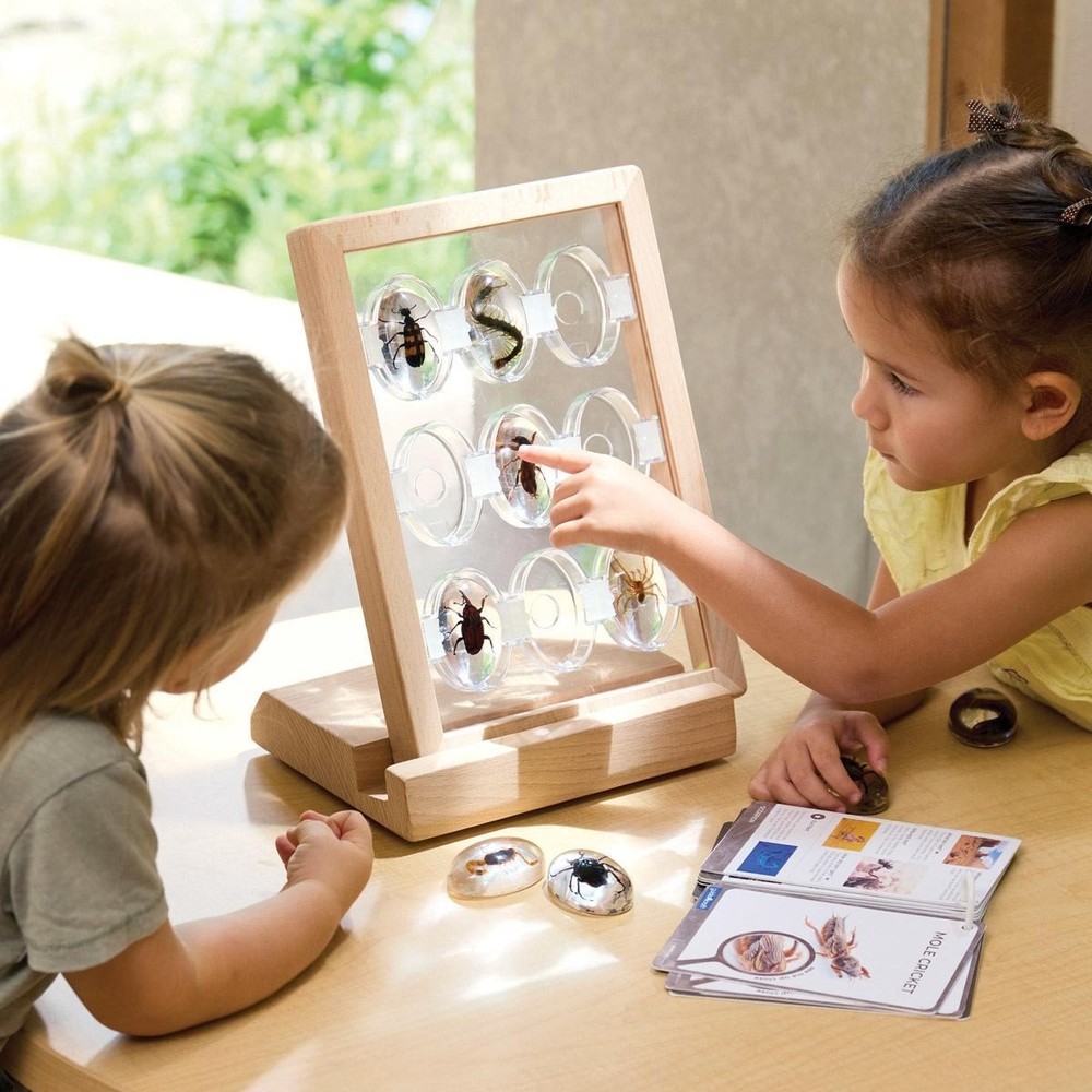 Kaplan Early Learning 9 Creepy Crawlers Specimen Stones