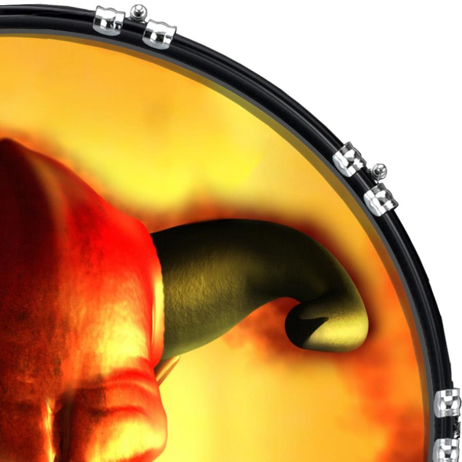 20" Custom Bass Kick Drum Front Head Graphical Demon Glare