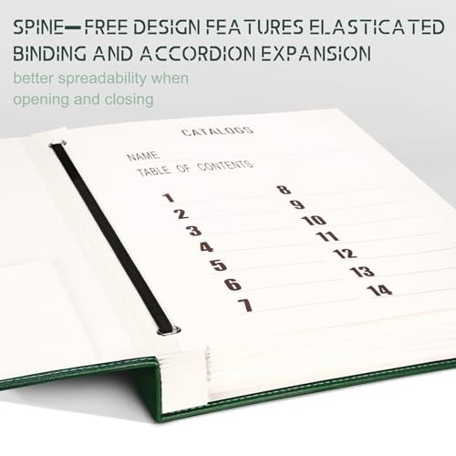 Important Document Organizer, 14 Expandable Pockets, 13 Card Olive Green