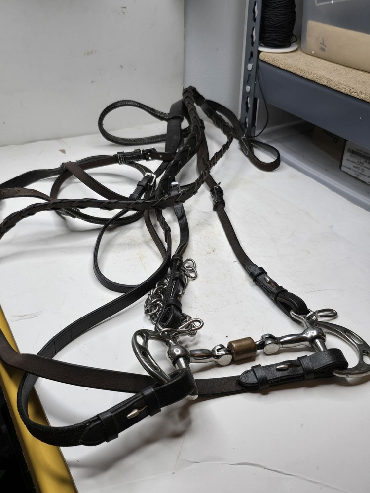horse bridle with bit