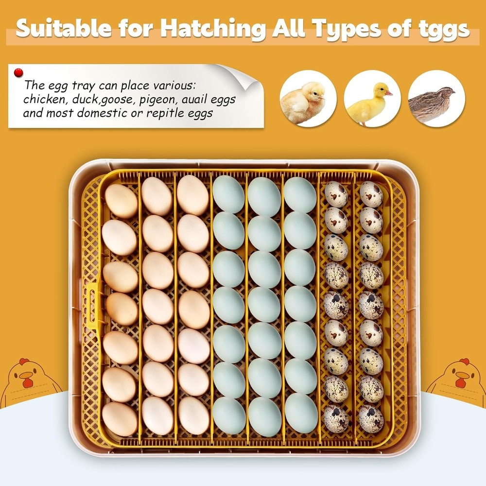 56 Egg Incubator for Hatching Eggs w/Automatic Egg Turner Temperature Display