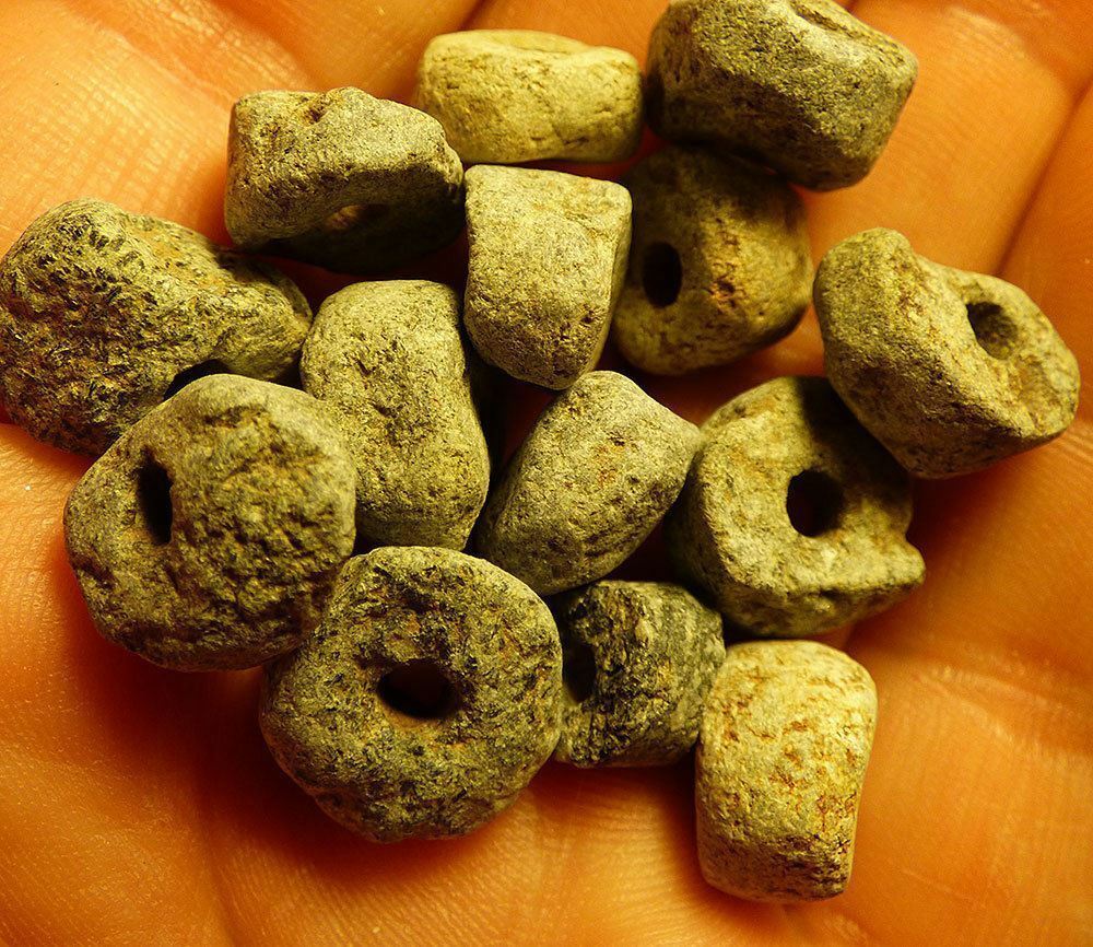 (5) Pre-1600 Cherokee Indian Drilled Stone Trade Beads Ancient Beads Nice Patina