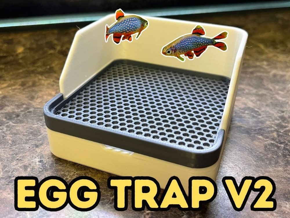 Egg Trap For Egg Scattering Fish