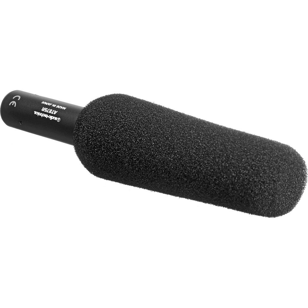 Audio-Technica AT875R Line and Gradient Condenser Microphone, 10 Ft XLR Cable
