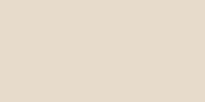 All-Purpose Plastic Zipper 12" Natural