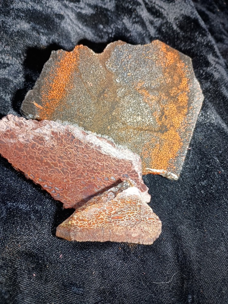 Dinosaur Bone Slabs Utah Rough 125 grams
