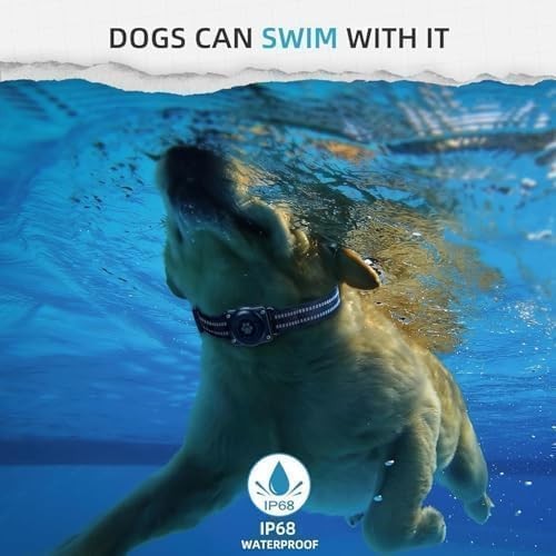 GPS Tracker for Dogs, Mini GPS Cat Tracker, Smart Pet Activity Tracker (iOS O...