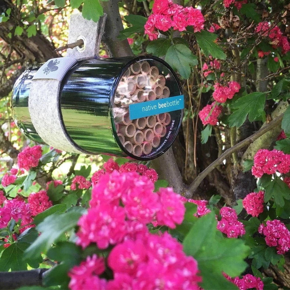 Native Bee Bottle | Pollinator House (Shipping form USA)