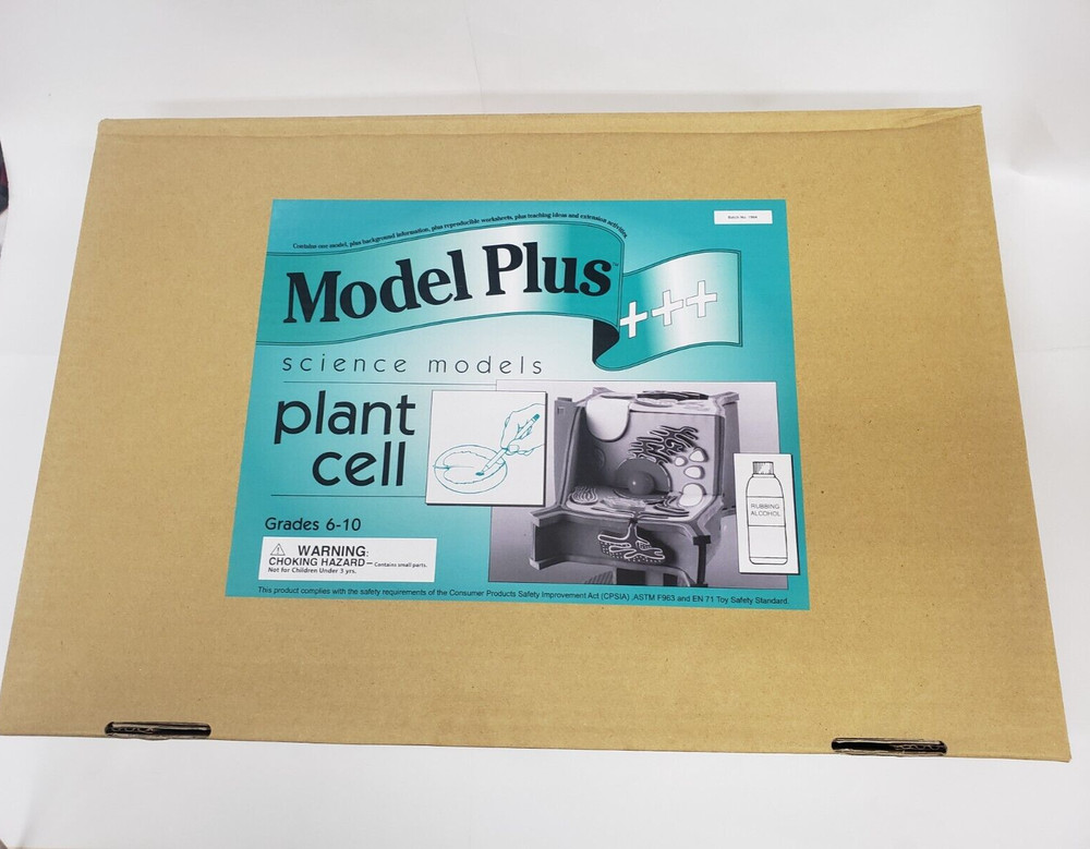 Ricky & Gang Model Plus: Plant Cell