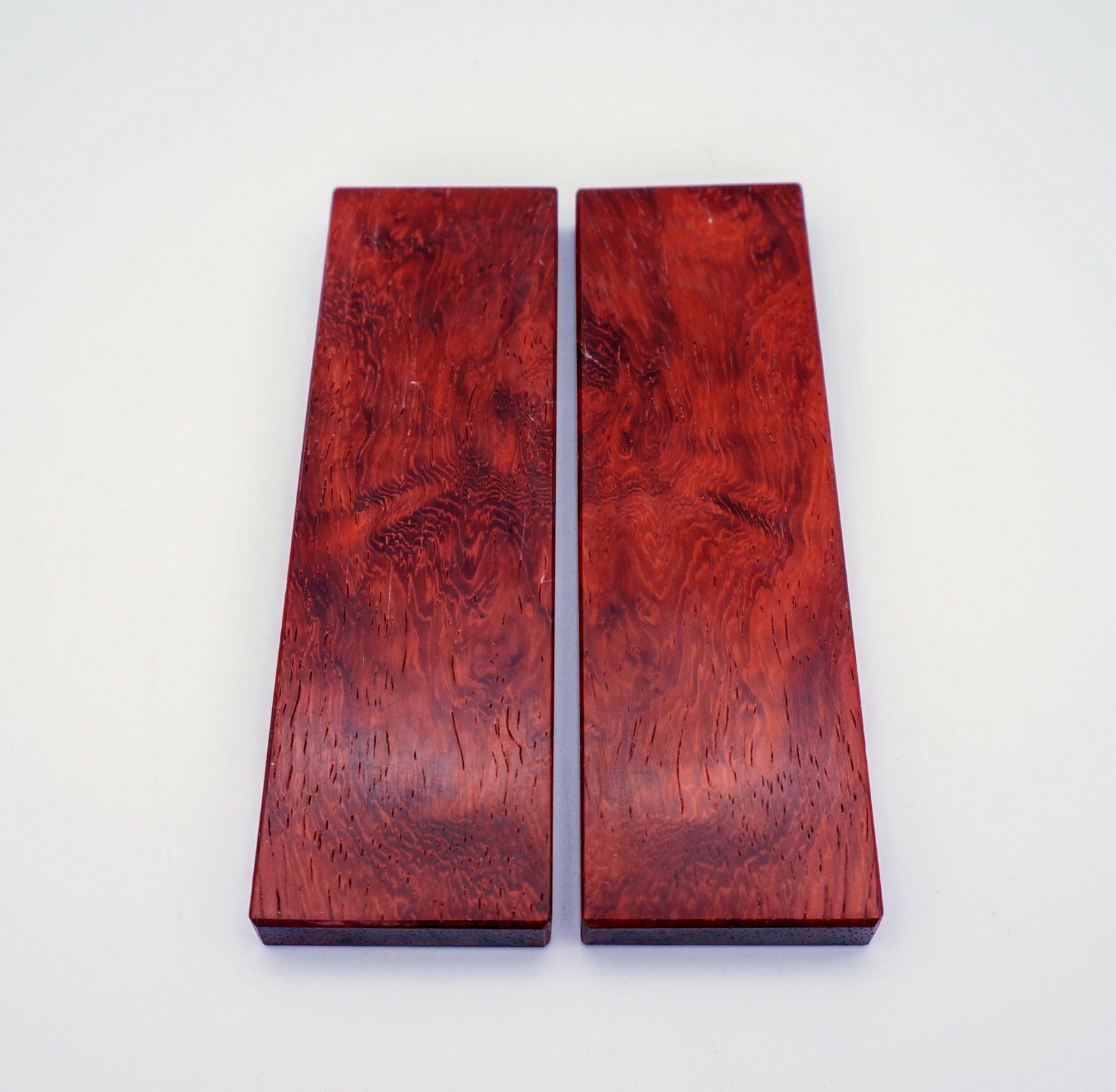 Gun Grip Scales (6" length) - You Pick the Species