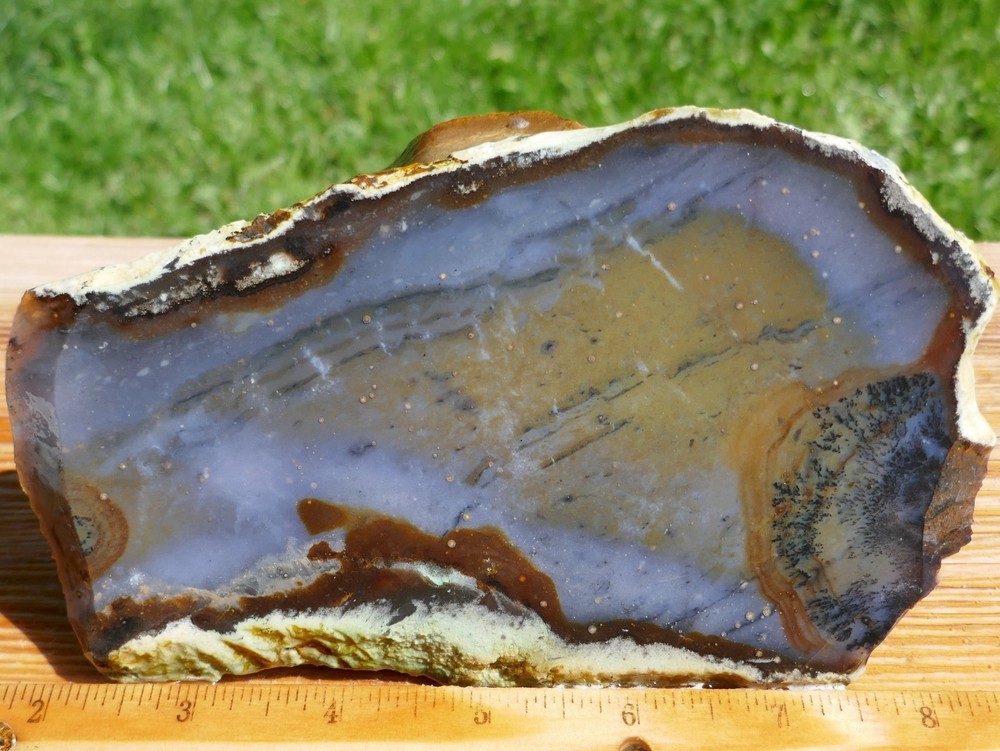 TCR Snake River Dendritic Agate *Rough Slab 204 g– Multicolor Unique dendrites