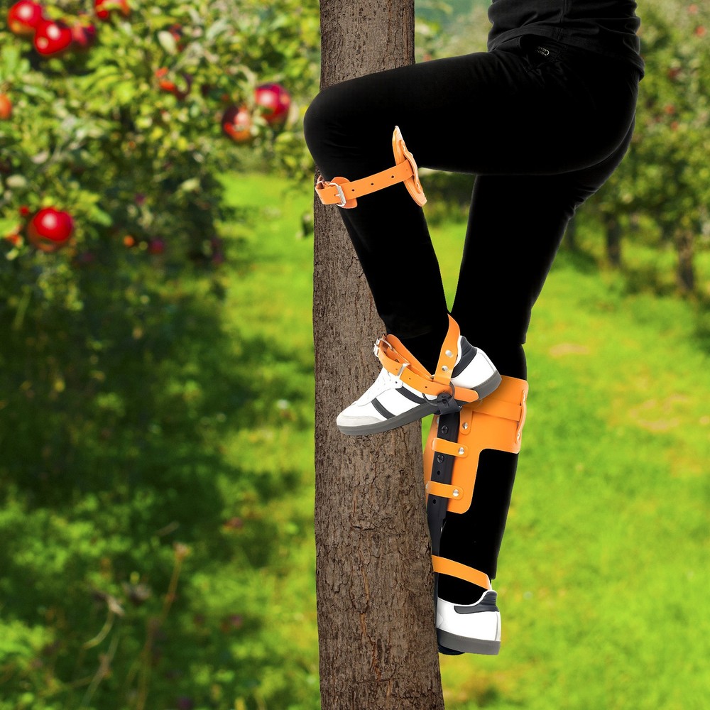Tree Climbing Spike Set Pole Climbing Spurs Climber Gaffs+Strap Adjustable 100kg