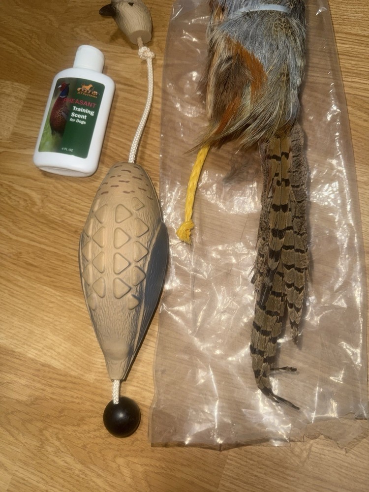 Sporting Dog Training Tools Pheasant Training Dummy Real Feathers, Scent & Dove