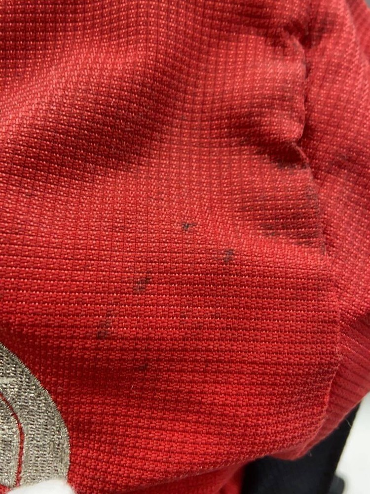 The North Face Backpack Nylon Red Used