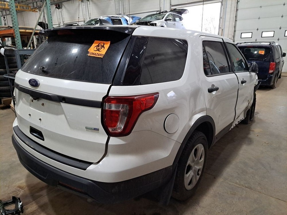 2018 Explorer Jack Sku#4407286