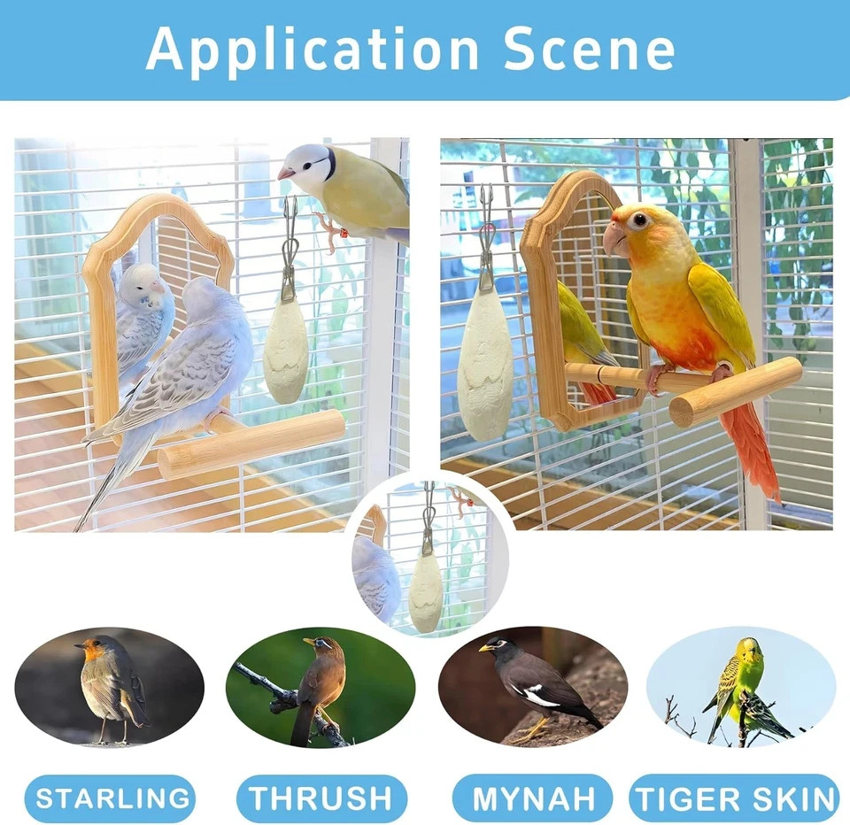 3.5"-4" Cuttlebone for Birds Parakeets, Cuddle Bone with Metal Clip, Cuttlefish