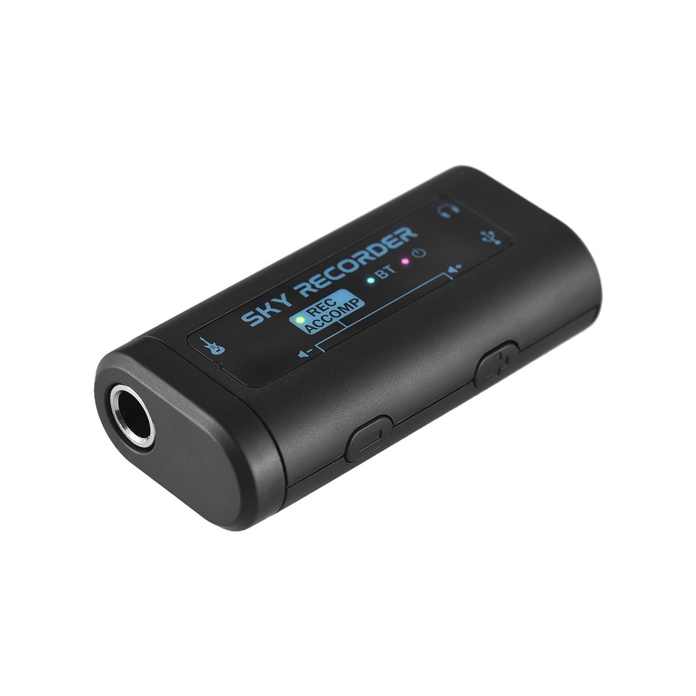 Audio Interface Portable Mini Recording Sound Card BT Accompaniment DTXB