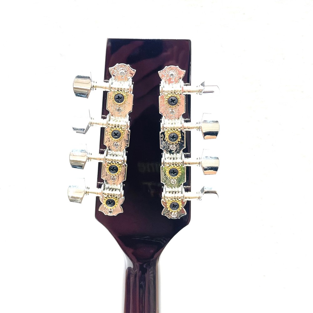 New brand 8 String Mandolin-Banjo