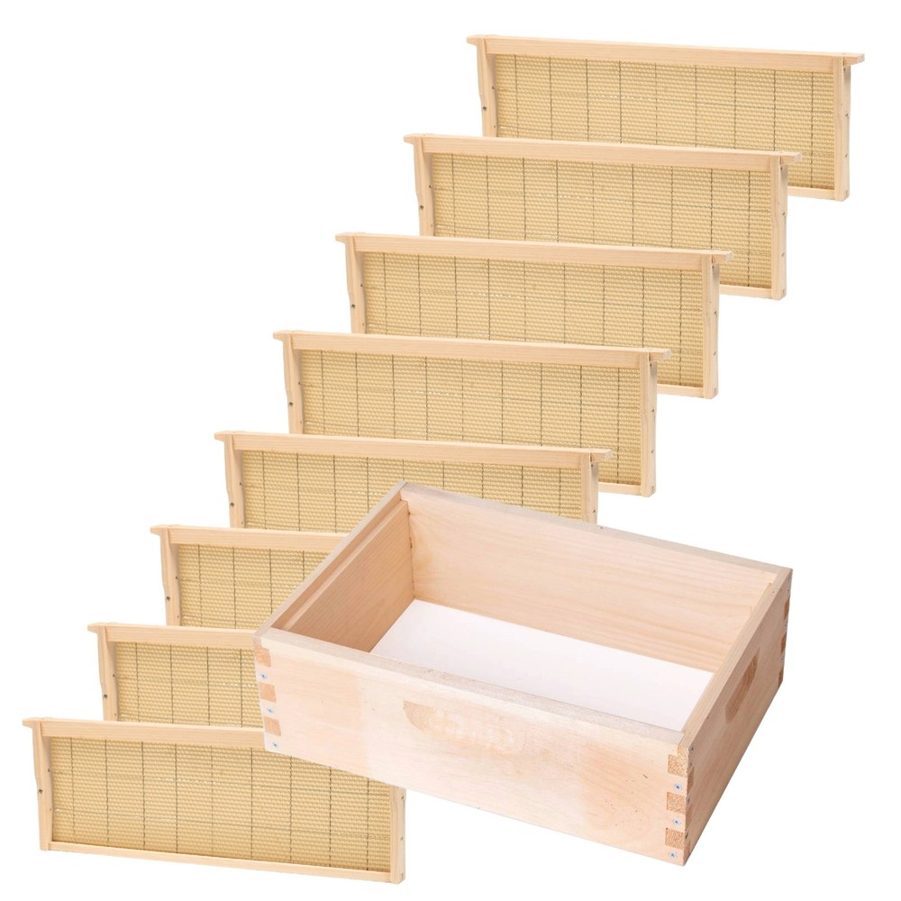 8 Frame Medium Assembled Beekeeping Box, Beeswax Foundation Frames, Amish Made