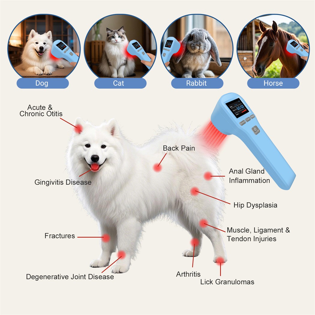 Red Light Therapy For Knees Pain And Muscle Recovery 880mW Soft Laser Healing