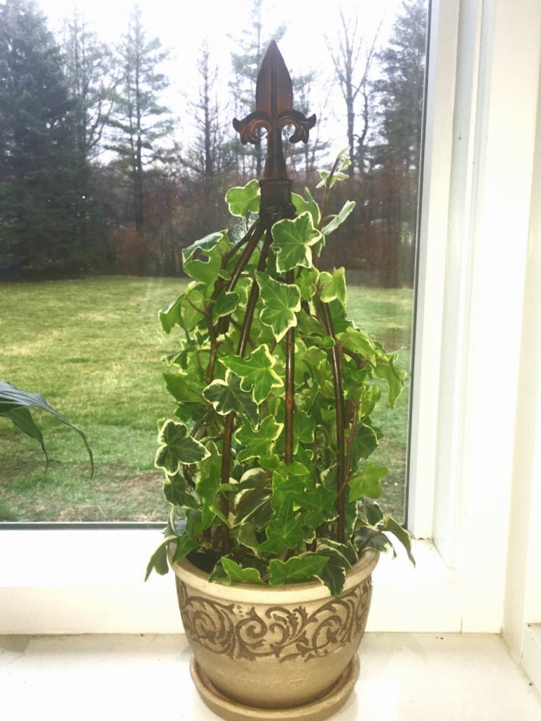 19" Twist Plant Support Garden Trellis Topiary, Rusty Wrought Iron Obelisk