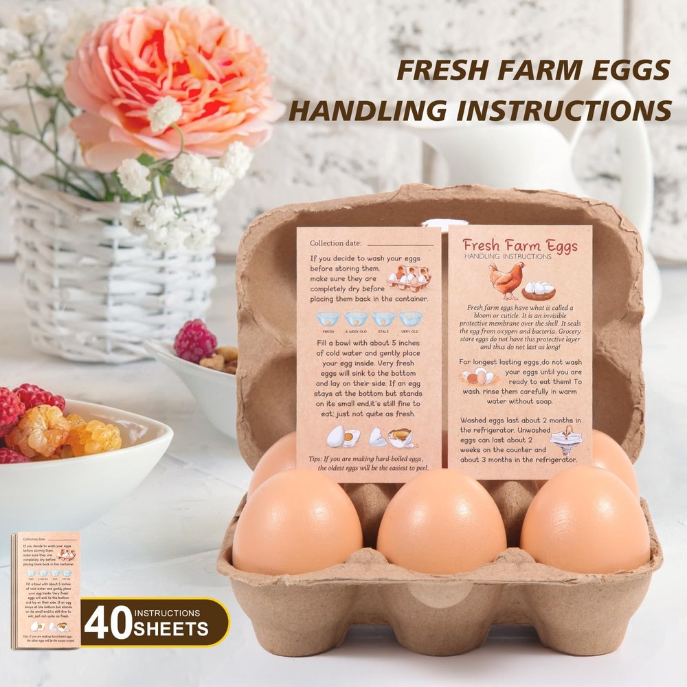 40 Pack Half Dozen Egg Cartons Bulk 6 Count Empty Natural Paper Pulp Egg Car